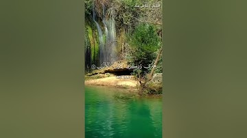 ايات من سورة غافر بصوت الشيخ فارس عباد