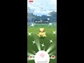 Shiny Pokemon Go Hunts | SHUNDO ABRA| Community Day