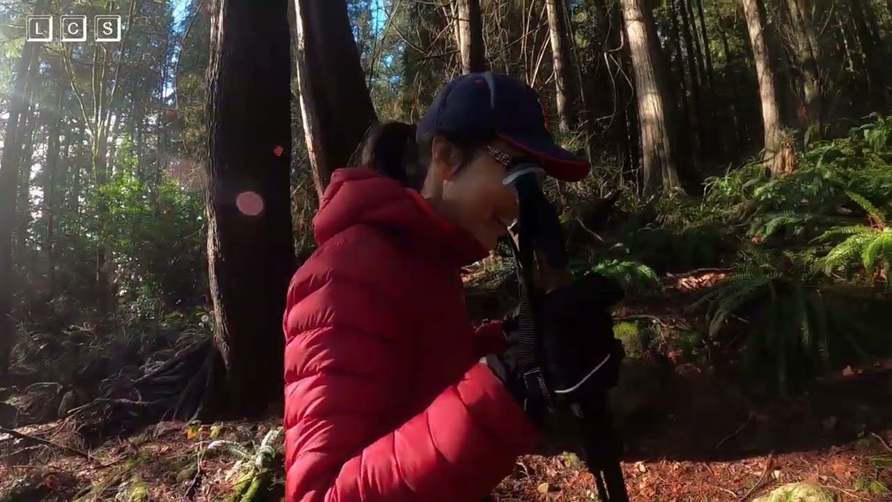 Deep Cove & Quarry Rock