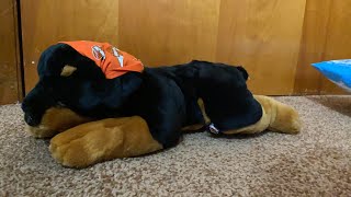 Harley Davidson Rottweiler Plush Unboxing & Review