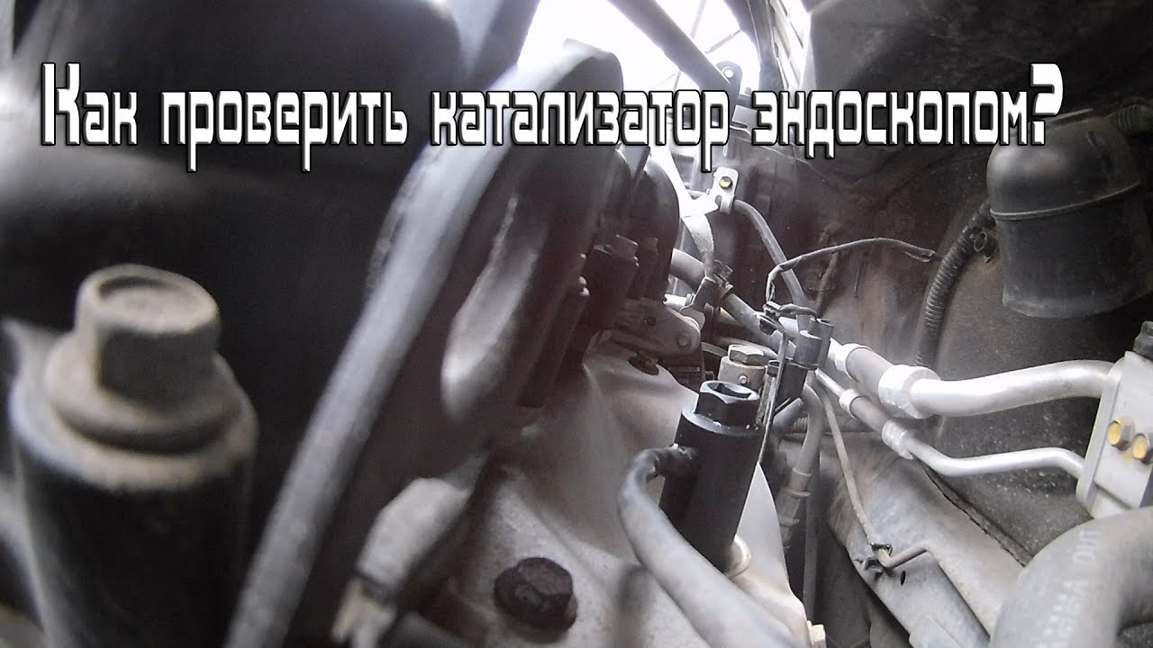 Как посмотреть клапана эндоскопом