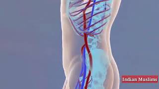 #Allahmeherbaan #Rozaisdawah Indian muslims