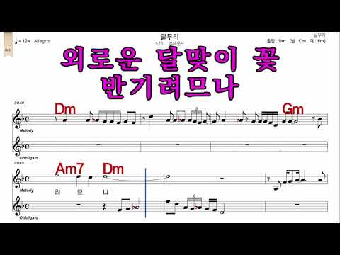 달무리  영싸운드  가수처럼  남 원키  Dm