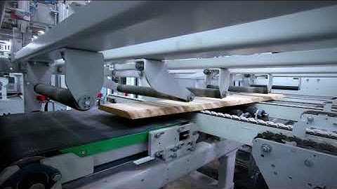 WEINIG - ProfiRip 340