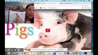 Gathering Facts from Nonfiction (1)