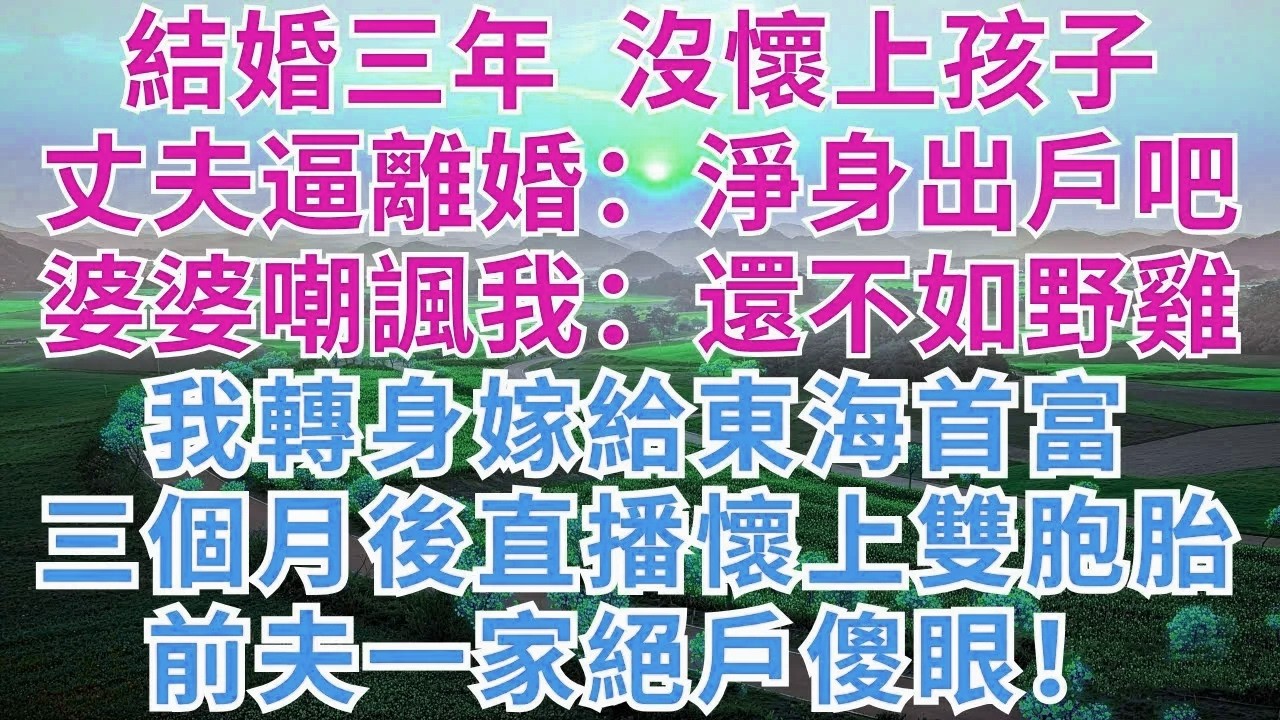 結婚三年，沒懷上孩子，丈夫逼離婚：淨身出戶吧，婆婆嘲諷我：還不如野雞，我轉身嫁給東海首富，三個月後直播懷上雙胞胎，前夫一家絕戶傻眼#生活經驗#情感故事#故事#小說#戀愛#情感#婚姻#為人處世#净身出戶