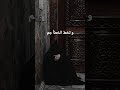 Аль Афаси красивое чтение ✨️ #ислам #коран #Ирганат #ЕдиноБожница