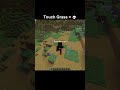 Touch Grass = 💀 in Minecraft