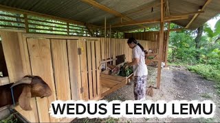 Download Lagu THE ATMOSPHERE OF SKC HEADQUARTERS IN THE MORNING, AS SEEN AS GUS YOHANES WAS SLEEPING THOROUGHLY🤣 MP3