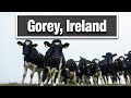 City Walks: Gorey Ireland County Wexford
