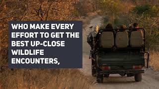 Top 5 Lodges in Thornybush Private Game Reserve