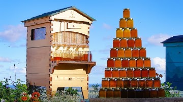 Introducing our BIG Flow Hive 2 - 7 Frame