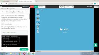 Celebrity Installation MySQL and Database Management (LabEx) Profile