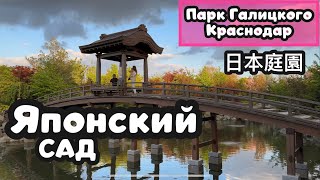 Краснодар. ЯПОНСКИЙ САД в парке Галицкого. Самый крупный и разнообразный за пределами Японии 👀