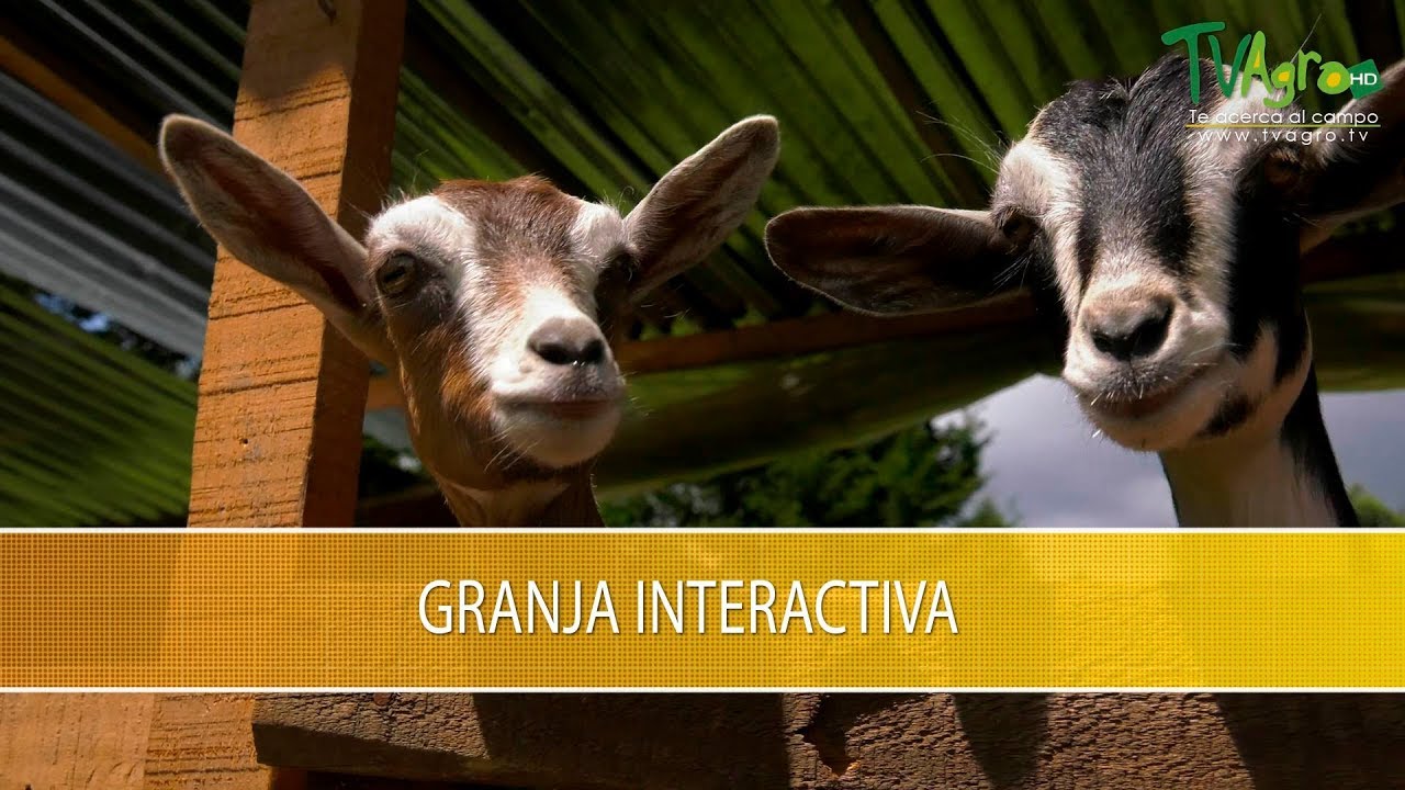 Granja Interactiva - TvAgro por Juan Gonzalo Angel Restrepo