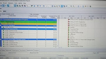 What are Project Planning Levels? #engineers #projectmanagement  #primaverap6  #engrwaqas #level4