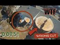 Tree work fail - wrong cut - bye bye chainsaw
