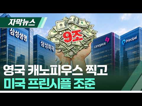 [자막뉴스] 국내선 답이 없다?…삼성생명·화재, 해외에 최대 9조 베팅
