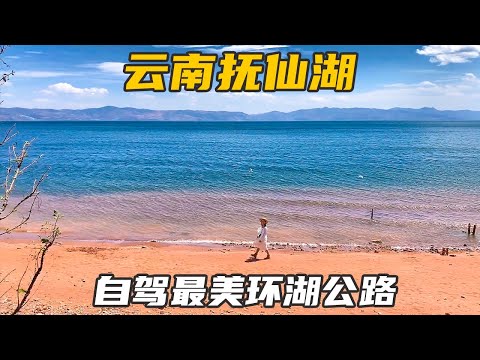 到云南抚仙湖的第4天，自驾最美环湖路，粉红色的沙滩比想象中更为惊艳【七哥和露露】