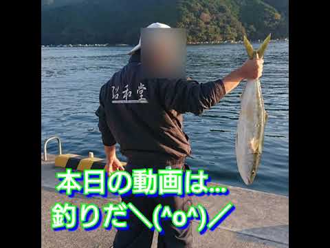 三重県釣り動画 釣り ブリ 魚 真鯛 海 自然 カセ 筏 アオリイカ ヒラメ 三重県 Fishing Youtube 三重県釣り動画 釣り ブリ 魚 真鯛 海 自然 カセ 筏 アオリイカ ヒラメ 三重県 Fishing Youtube
