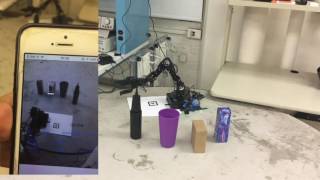 Famous Haar Feature Object Recognition and Manipulation Net Worth