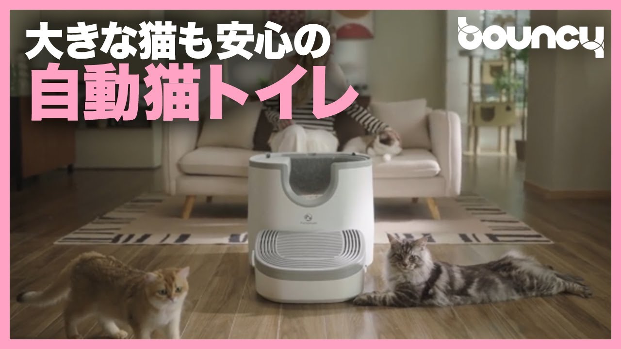 【GWセール】新品　猫　自動トイレ　大容量設計　​Furoomate F8 Litter Box　 最大3匹の猫対応　約5日間の連続使用が可能 開放的！ 大きな猫でも安心の自動トイレ「Furoomate」 - YouTube