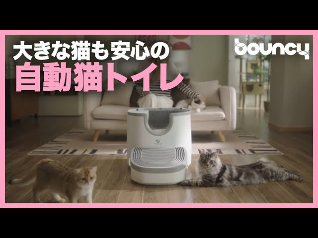 開放的！ 大きな猫でも安心の自動トイレ「Furoomate」 - YouTube