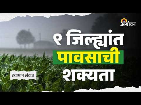 Rain Update : मध्य महाराष्ट्र आणि मराठवाड्यात पावसाचा अंदाज | Agrowon