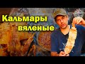 Сушеные кальмары на гриле на Паттайя Джомтьен бич | Уличная еда Таиланда. Тайский вкус