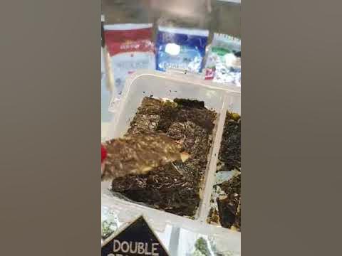 Листья нори - YouTube