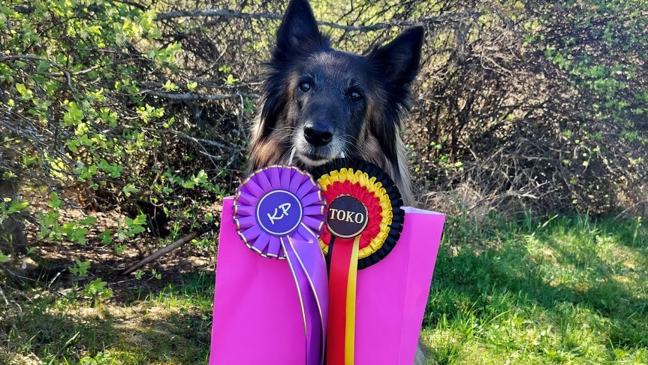 Vixi tokokoe Tampere 18.05.2024 293,5 KP