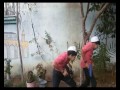 فيلم عشاق الفدائي الفدائي