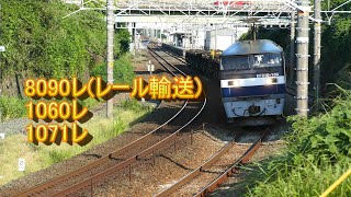 JR貨物 2020/08/24 先週と同じ釜で8090レ(レール輸送)日鐵チキ9B 貨物列車2本