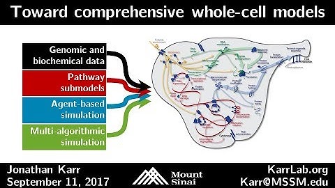 Principles for modeling multiple pathways - Jonathan Karr - Princip Gene Circuit Design - 9/2017