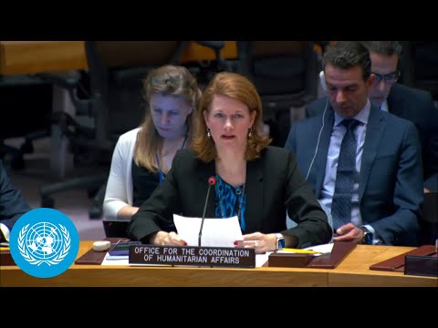 Palestine, lebanon & un-au cooperation | security council | united nations