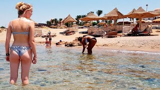 Обзор Пляжа Отель Serenity Fun City 5★ и Serenity Makadi Beach 5★ Хургада Египет