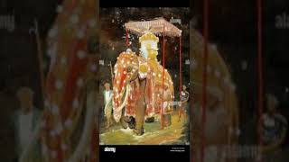 Sri Lankan Kandy easala perahara elephant designing