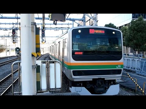2015/01/31 湘南新宿ライン E231系 大崎駅 / Shonan-Shinjuku Line: E231 Series at Osaki