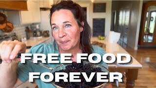 Plant once and eat forever!