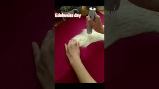 Electric Needle felting machine Improve the efficiency and speed of your needle felting, save