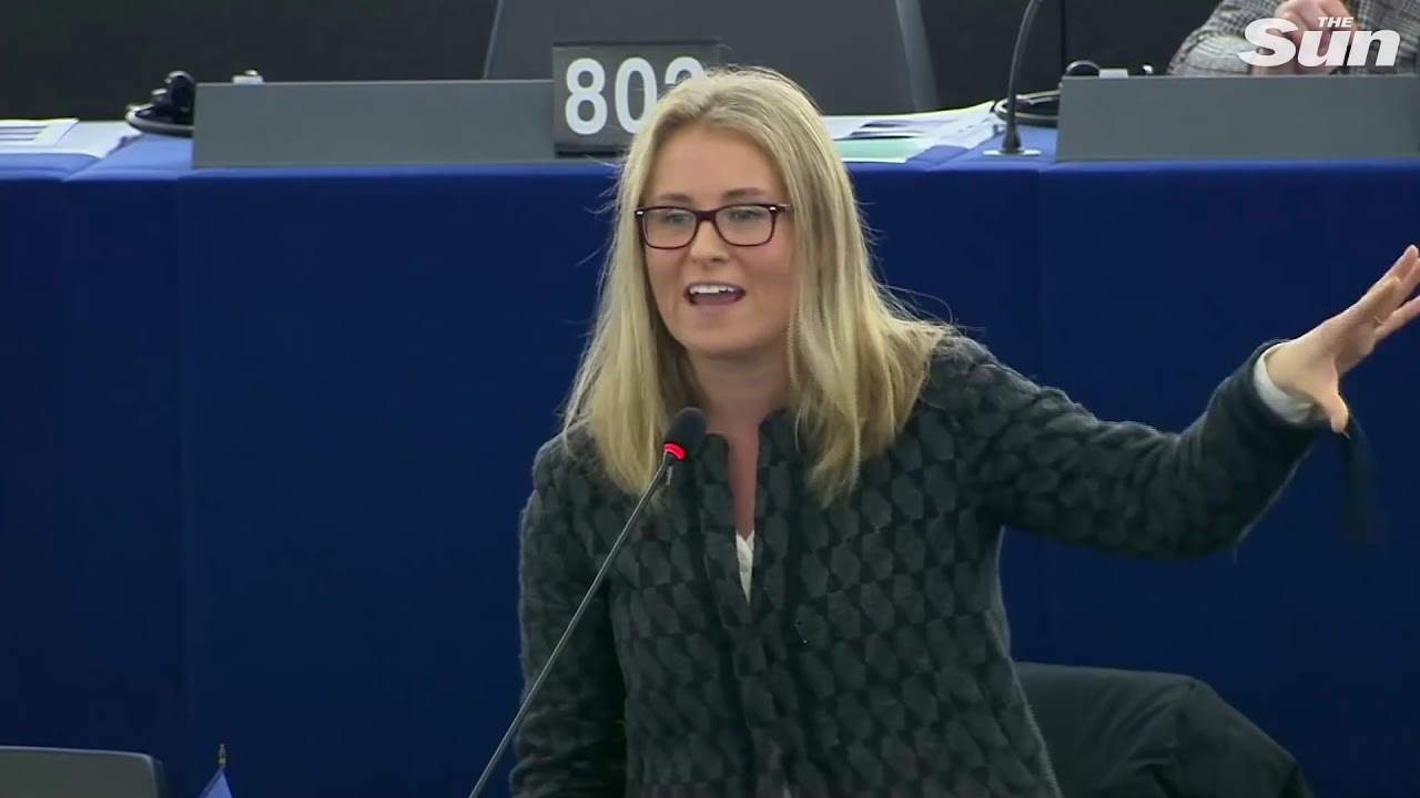 The Brexit Party clashes with pro EU MEPs in European Parliament gu8UBhGBf6Q