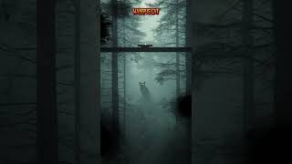 Wampus Cat Horror Story (FULL NIGHTMARE EXPERIENCE) | Appalachian Mountain Legend