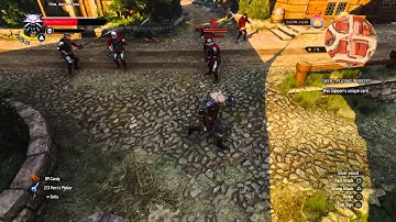 The Witcher 3: Wild Hunt, And I thought you were a dwarf !  BUG