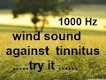 10 minutes wind at 1 000 hz as sound therapy for tinnitus relief acouphnes