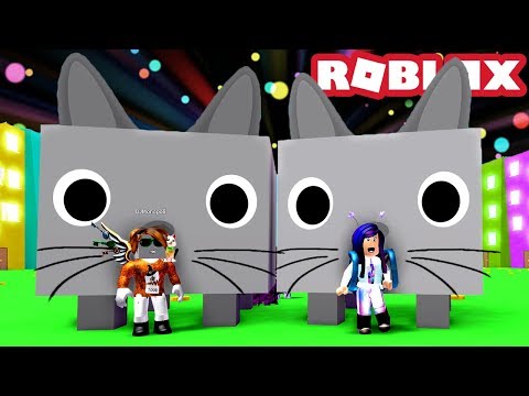 2 Giant Cats On The Dominus Chest Roblox Pet Simulator Youtube - roblox pet simulator zombie roblox robux 50