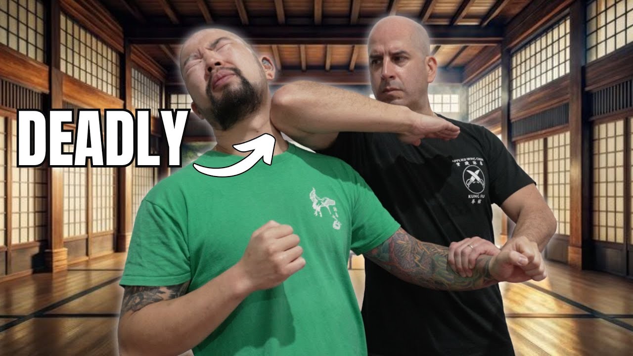 Effective Wing Chun COUNTERATTACKS!