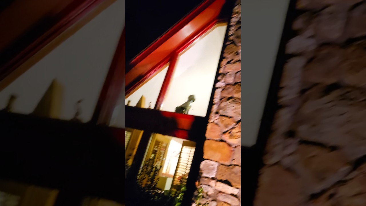 IS THIS THE MOST HAINTED HOUSE IN MISSISSIPPI?! 