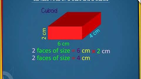 Surface area of cube and cuboid U-11 class.8