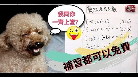 中一數學第一課：數線及有向數 (F.1 Math. Ch1：Number Line and Directed Numbers)