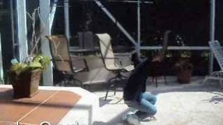 Untitled Jerks 1st video.avi